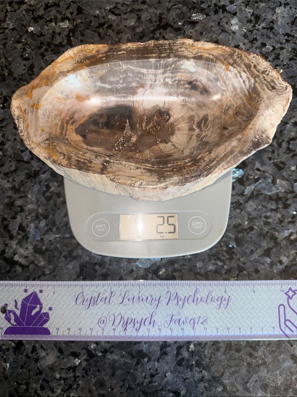 Petrified Wood Custom Bowl A 4.75 x 8.25 4+ LBS - Picture 8 of 12